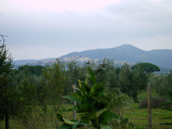 EsternoSergio